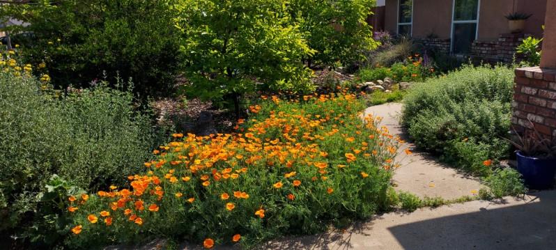 752 W Los Altos Ave, Clovis, CA 93612