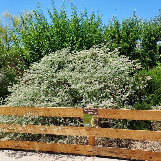 752 W Los Altos Ave, Clovis, CA 93612