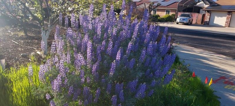 752 W Los Altos Ave, Clovis, CA 93612