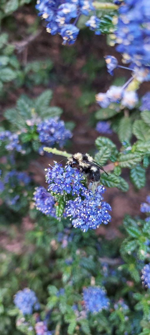 752 W Los Altos Ave, Clovis, CA 93612